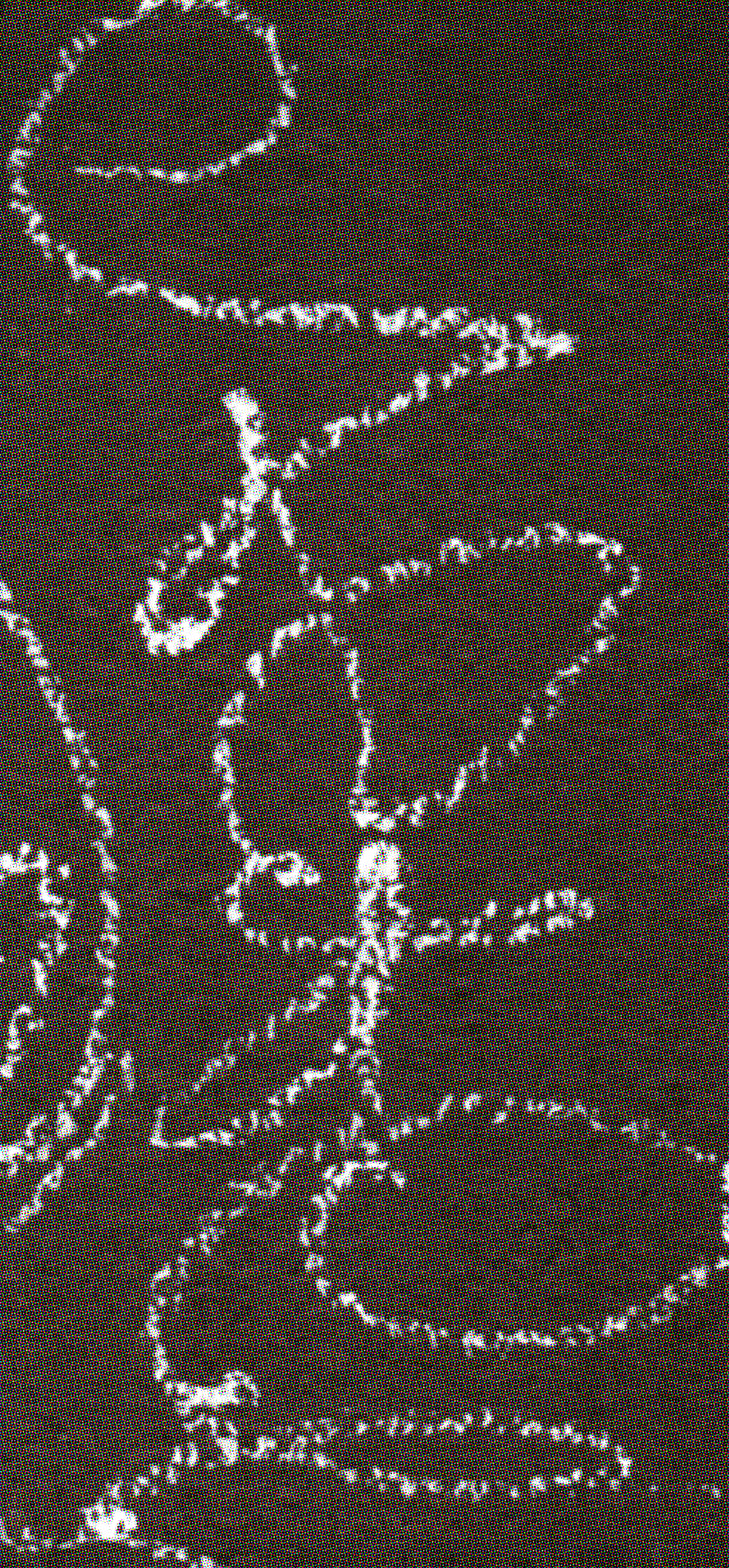 SCR.064